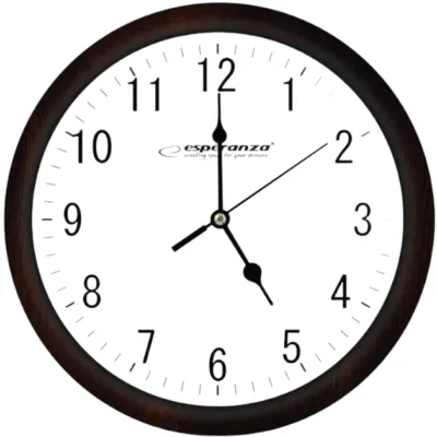 Настінний годинник Esperanza Wall Clock Los Angeles 30 см White (EHC015W)