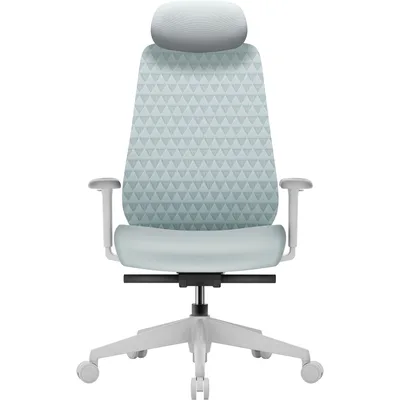 Офісне крісло OfficePro Omnis, OC640G (OC640G)