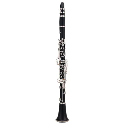 Кларнет Maxtone TCC-60/BN