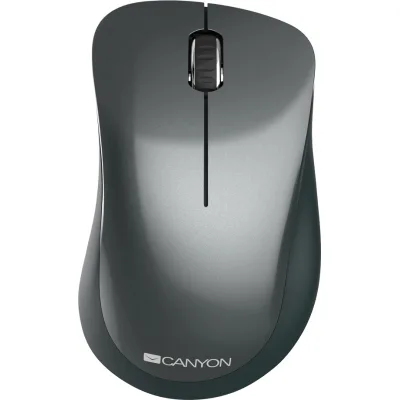 Мишка Canyon MW-11 Wireless Pixart Black (CNE-CMSW11B)