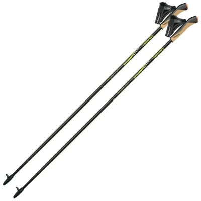 Палиці для скандинавської ходи Gabel FX-75 Snake Carbon 105 Dual Spike (7009351011050) (DAS303323)