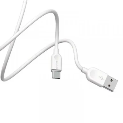 Дата кабель USB 2.0 AM to USB-C 2.0m 2.4A white BOROFONE (6957531090021)