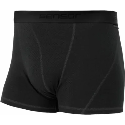 Термотруси Sensor Merino DF black 15100027 L (SM21M-black-L)