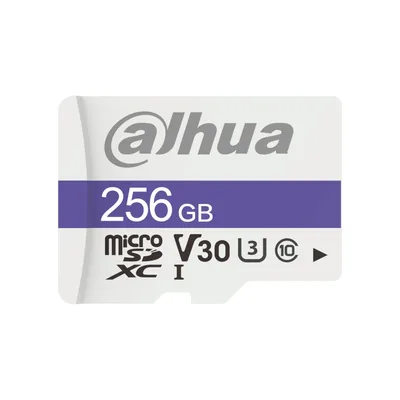 Карта пам'яті Dahua DHI-TF-C100/256GB