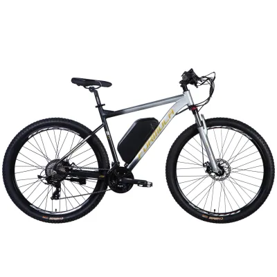 Електровелосипед Formula 29" eF-1 DD CS рама-21" 48B 17.5А*г 500Вт 2026 сріблясто-чорний (ELB-FR-29-256)