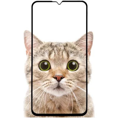 Скло захисне BeCover Samsung Galaxy M15 5G SM-M156 Black (711044)