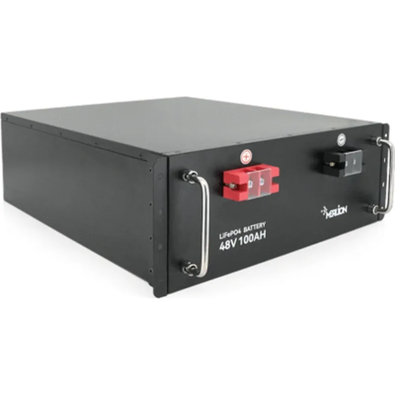 Батарея LiFePo4 Merlion LFP48-100US