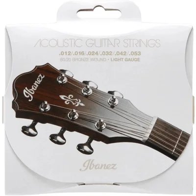 Струни для гітари Ibanez IACS6C Acoustic Guitar Strings 12-53 (301879)