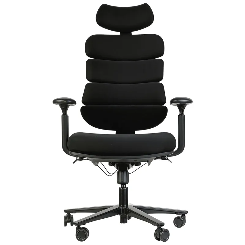 Офісне крісло Sihoo FlexCore OC120B (OC120B)