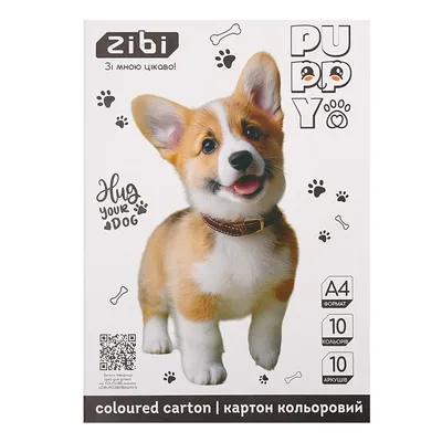 Кольоровий картон ZiBi CATS&DOGS, А4, 10 кольорів - 10 аркушів (ZB.1950-22)