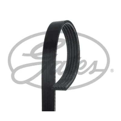 Поліклиновий ремінь Gates 5PK1023