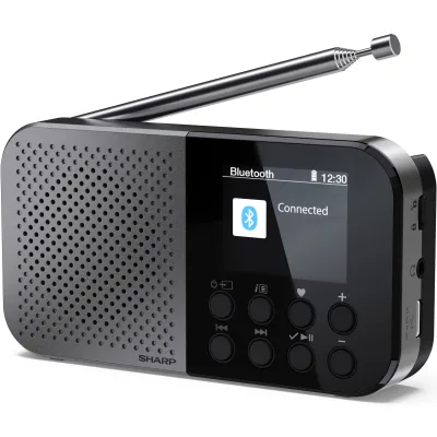 Портативний радіоприймач Sharp DR-P520 Grey (DR-P520GY)