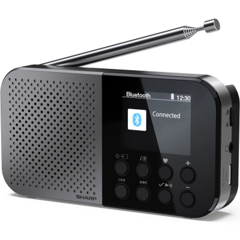 Портативний радіоприймач Sharp DR-P520 Grey (DR-P520GY)