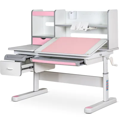Парта Mealux Florida Multicolor Pink (Evo-52 WG + PN Multicolor)