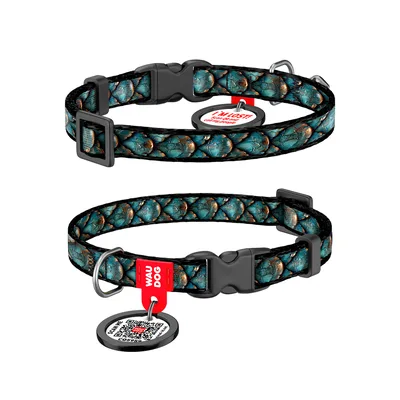 Нашийник для тварин WAUDOG Nylon з QR адресником "Луска" для котів XS (278-0179)