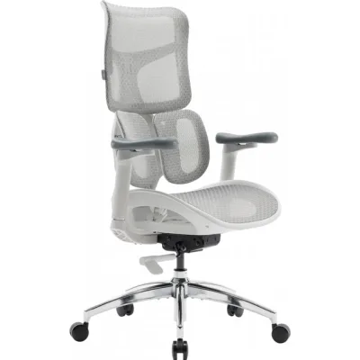 Офісне крісло Sihoo DORO S100 Mesh White (S100-M302)