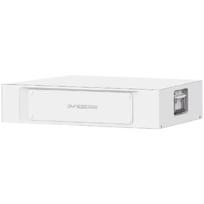 Батарея LiFePo4 Dyness STACK100 S51100 51.2V 100Ah 5.12kWh без BMS (S51100)
