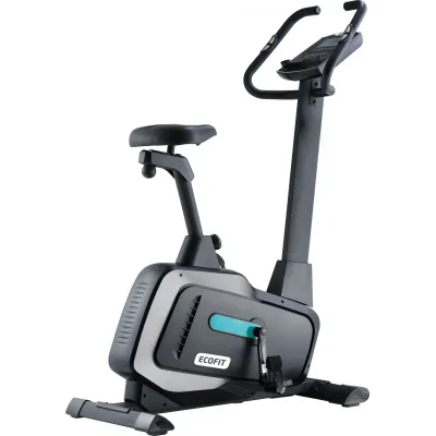 Велотренажер Ecofit E-608P