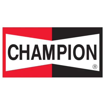Повітряний фільтр для автомобіля Champion CAF100789P