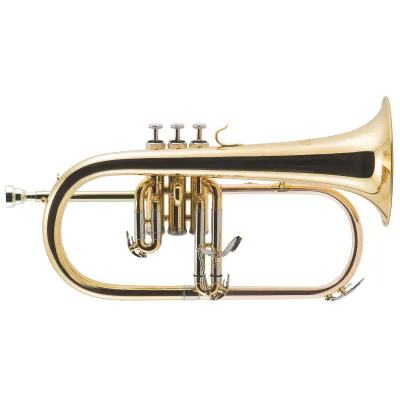 Флюгельгорн J.Michael FG500 (S)
