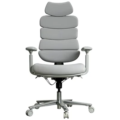 Офісне крісло Sihoo FlexCore OC120B (OC120G)