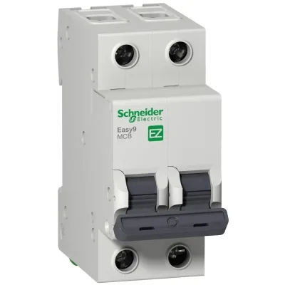 Автоматичний вимикач Schneider Electric Easy9 2P 6A C (EZ9F34206)