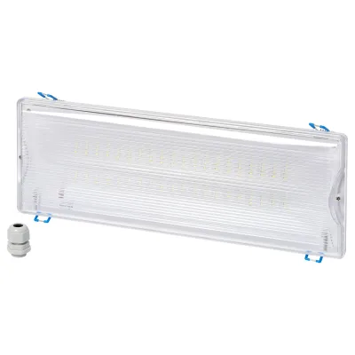 Світильник Delux REL-204 (3.7V2,2Ah) 40 LED 4W (90022962)