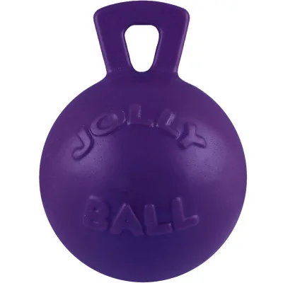 Іграшка для собак Jolly Pets Tug-n-Toss Гиря фіолетова 20 см (0788169040852)