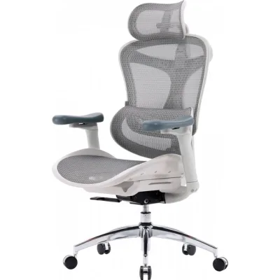 Офісне крісло Sihoo DORO C300L Mesh White (DORO-C300L-A3-102)