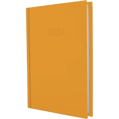 Тижневик Economix датований 2024 SATIN помаранчевий, А5 (E21612-06)