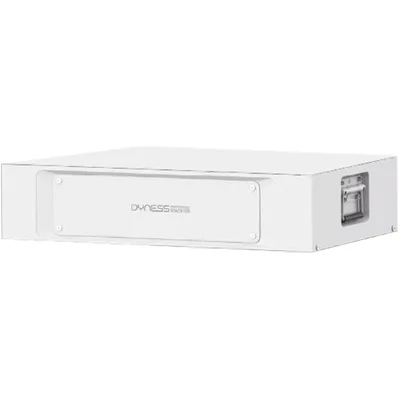 Батарея LiFePo4 Dyness STACK S51100 Heated 51.2V 100Ah 5.12kWh без BMS (S51100-H)