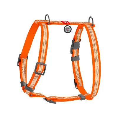 Шлея для собак WAUDOG Waterproof анатомічна Н-подібна, світловідбивна S помаранчева (32804)