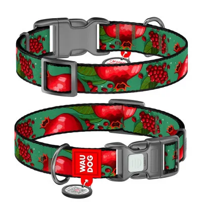 Нашийник для тварин WAUDOG Nylon з QR паспортом "Гранати" пластиковий фастекс М (281-4052)