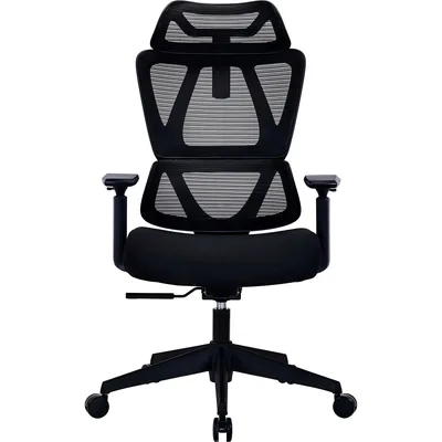 Крісло офісне OfficePro Anvio OC500B