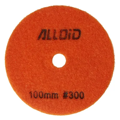 Круг зачистний Alloid Pro, алмазний, шліфувальний, на липучці, 100мм, зерно 300 (DD-63287)