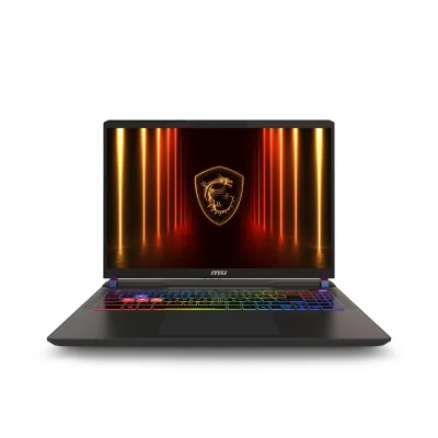 Ноутбук MSI Vector A16 HX (A8WHG-072XUA)