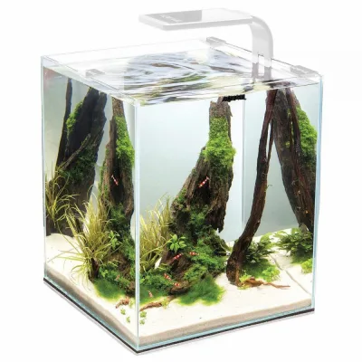 Акваріум AquaEl Shrimp Set Smart для креветок прямий білий 19 л (5905546326223)