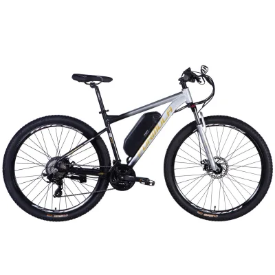 Електровелосипед Formula 29" eF-1 DD CS рама-18,5" 48B 12.5А*г 500Вт 2026 сріблясто-чорний (ELB-FR-29-250)