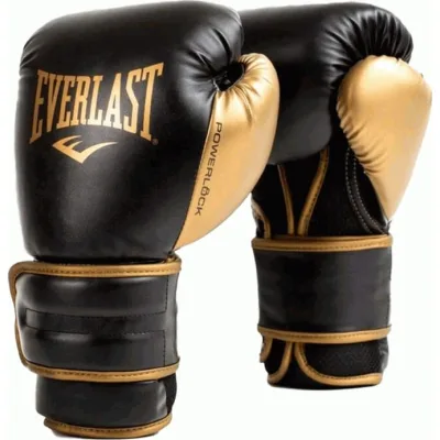 Боксерські рукавички Everlast Powerlock 2R Training Glove P00002665 чорний, золотий 16 унцій (009283611996)