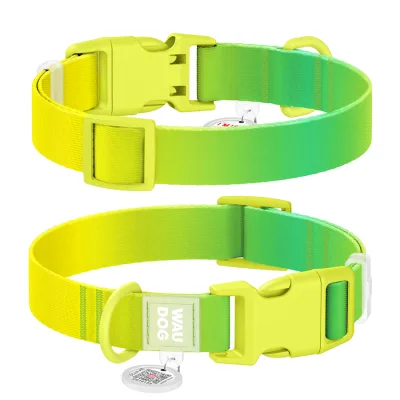 Нашийник для тварин WAUDOG Nylon Recycled з QR паспортом, градієнт, S салатовий (47005)