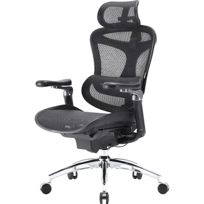 Офісне крісло Sihoo DORO C300 Pro Mesh Black (DORO-C300-PRO-M101)