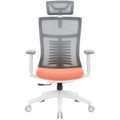 Офісне крісло OfficePro Balance OC550-W-DG-OR (OC550-W-DG-OR)