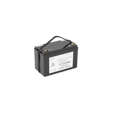 Батарея LiFePo4 Eyasta 51,2V 40Ah 2048Wh (LP-2048Wh)