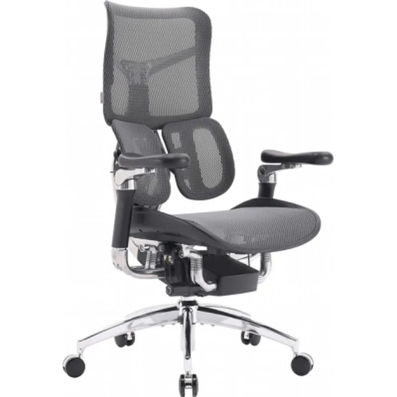 Офісне крісло Sihoo DORO S300 Mesh Dark Grey (S300-M201)