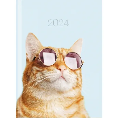 Тижневик Economix датований 2024 COLOR, А5 (E21843)