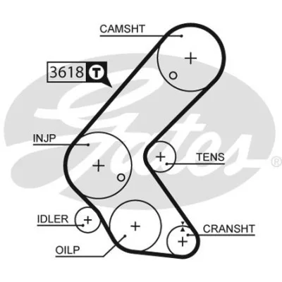 Ремінь ГРМ Gates 5563XS
