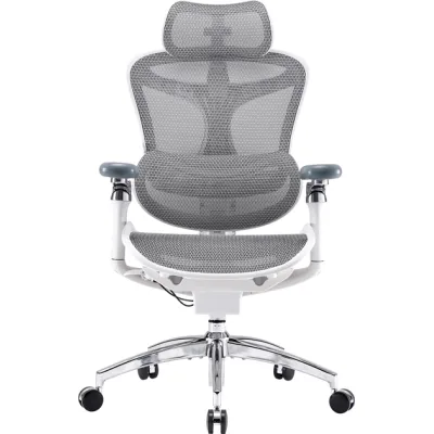 Офісне крісло Sihoo DORO C300 Pro Mesh White (DORO-C300-PRO-M102)