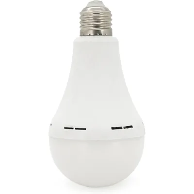 Лампочка Almina DL-2030 30W, 2700Лм, 6400K (DL-2030)