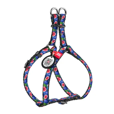 Шлея для котів WAUDOG Nylon з QR паспортом "Інжир" пластиковий фастекс XS (319-4053)