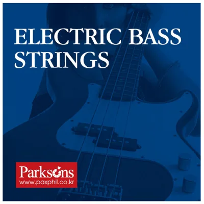 Струни для гітари Parksons Electric Bass Strings (40-125) (SB45125)